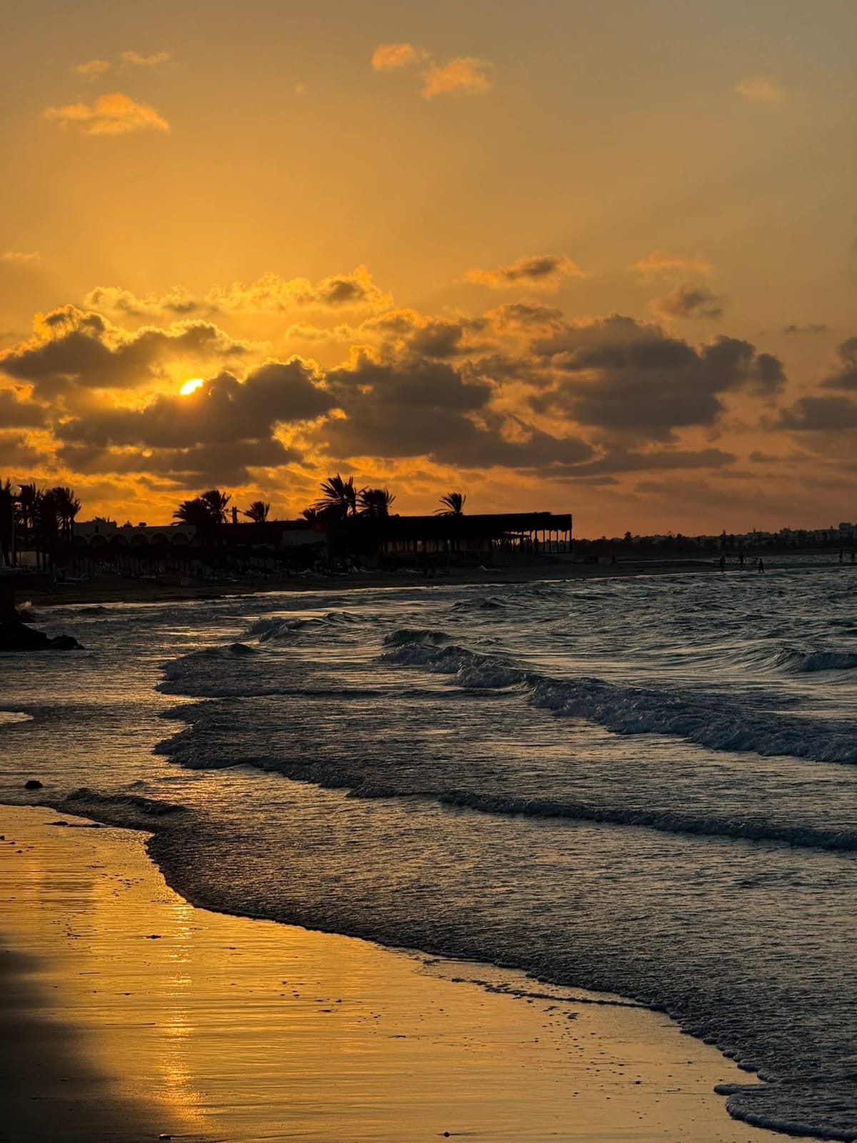 Destination Monia Travel 10