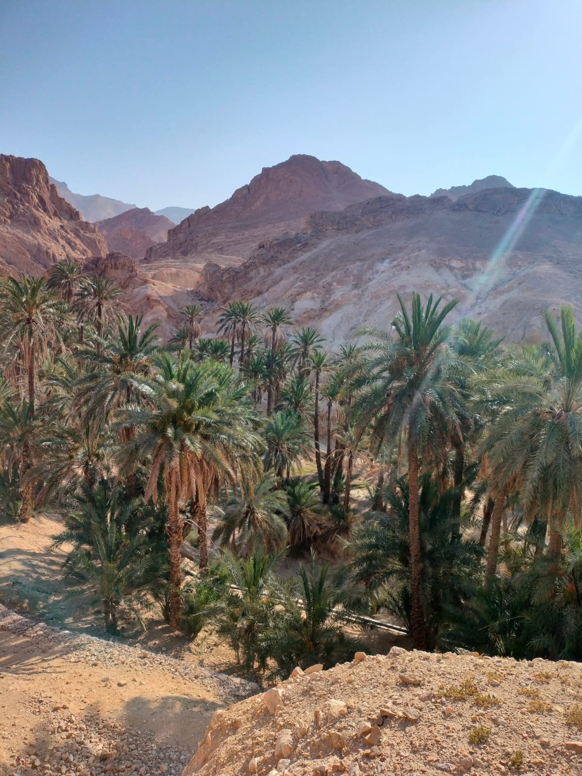 Destination Monia Travel 14