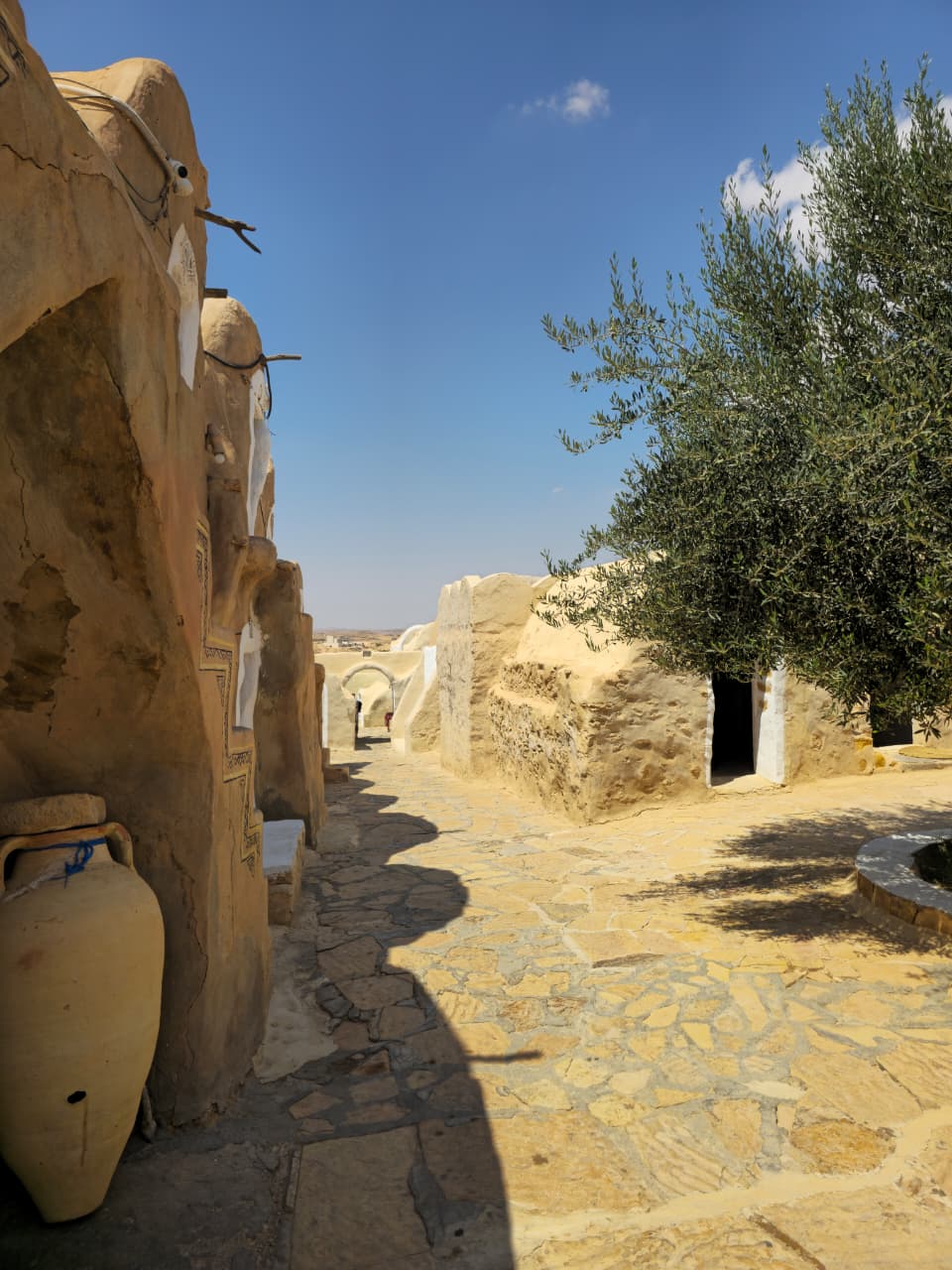 Destination Monia Travel 19