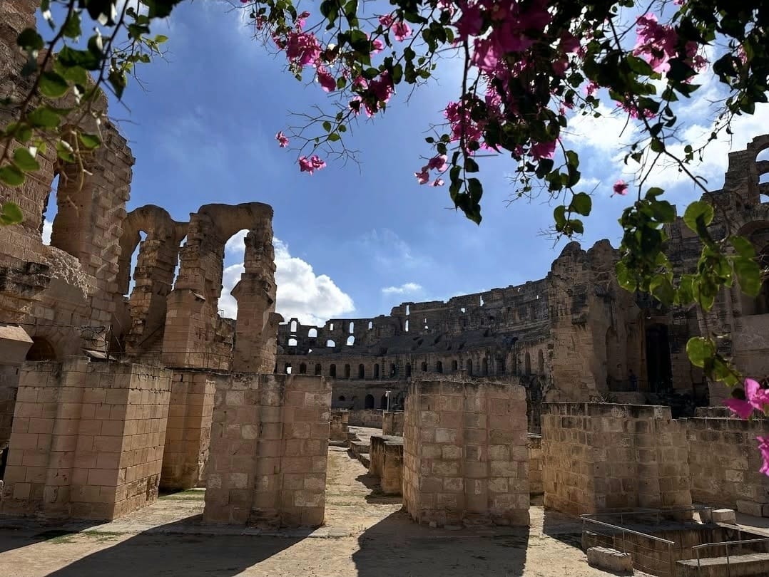 Destination Monia Travel 2