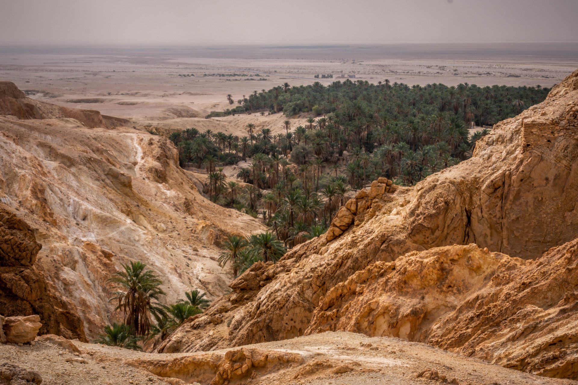 Thumbnail 10 of Explore Tunisia 5-Day Tour with Various Modes