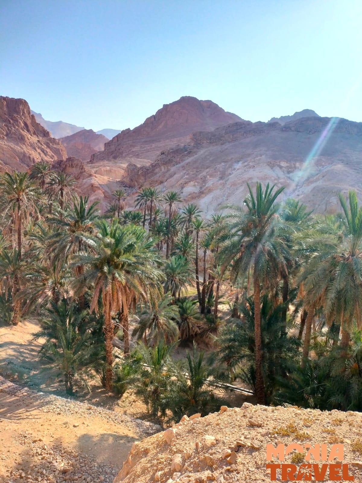 Thumbnail 3 of discover hidden treasure in southern tunisia