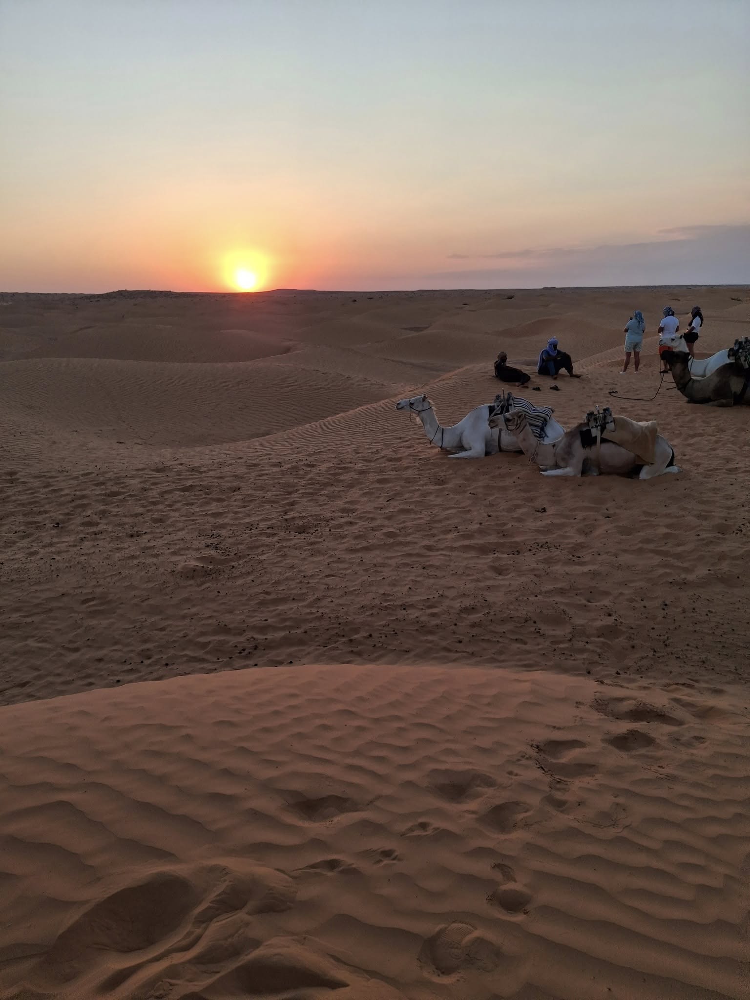 Thumbnail 4 of discover hidden treasure in southern tunisia