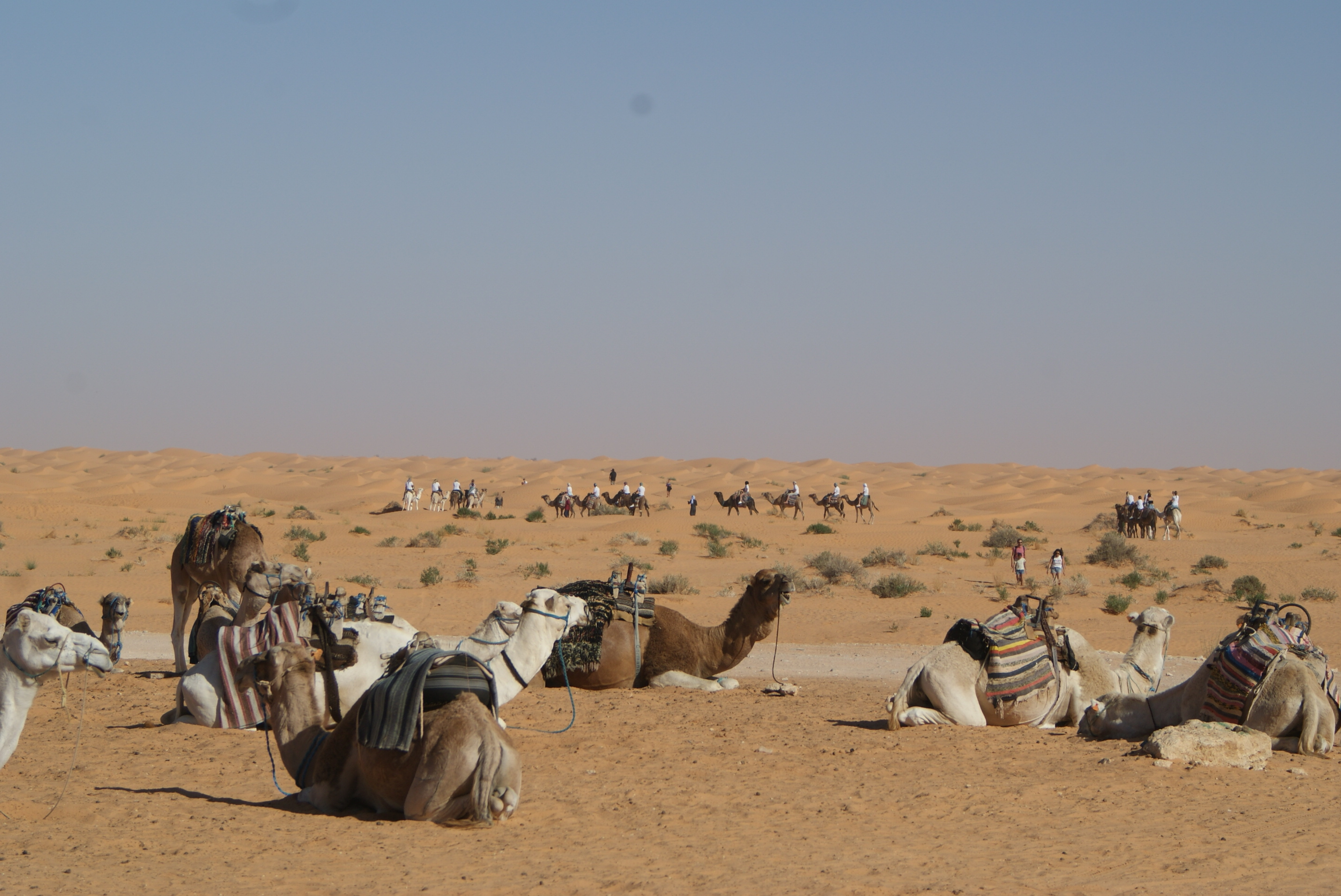 Thumbnail 8 of discover hidden treasure in southern tunisia