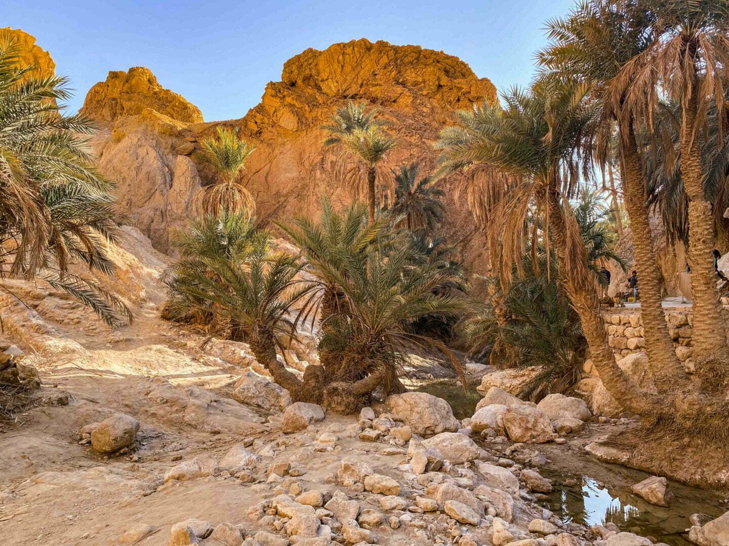 Thumbnail 15 of discover hidden treasure in southern tunisia