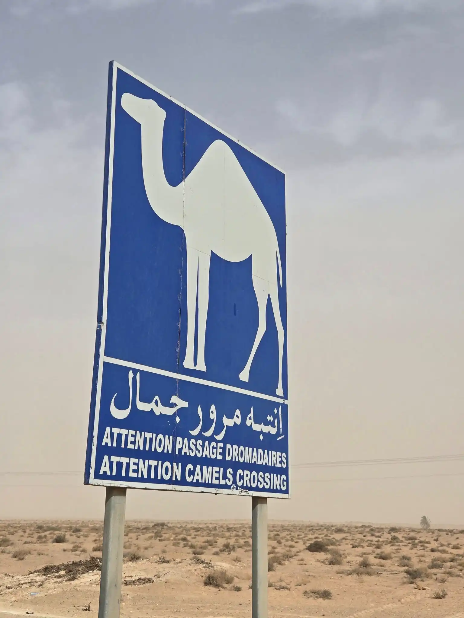 discover hidden treasure in southern tunisia