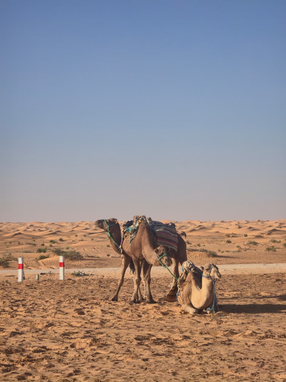 two day excursion to ksar ghhilane with sleepingover in tent