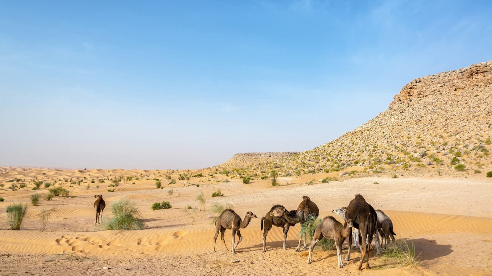 the hidden oasis in the Atlas Mountains and Star Wars filming location