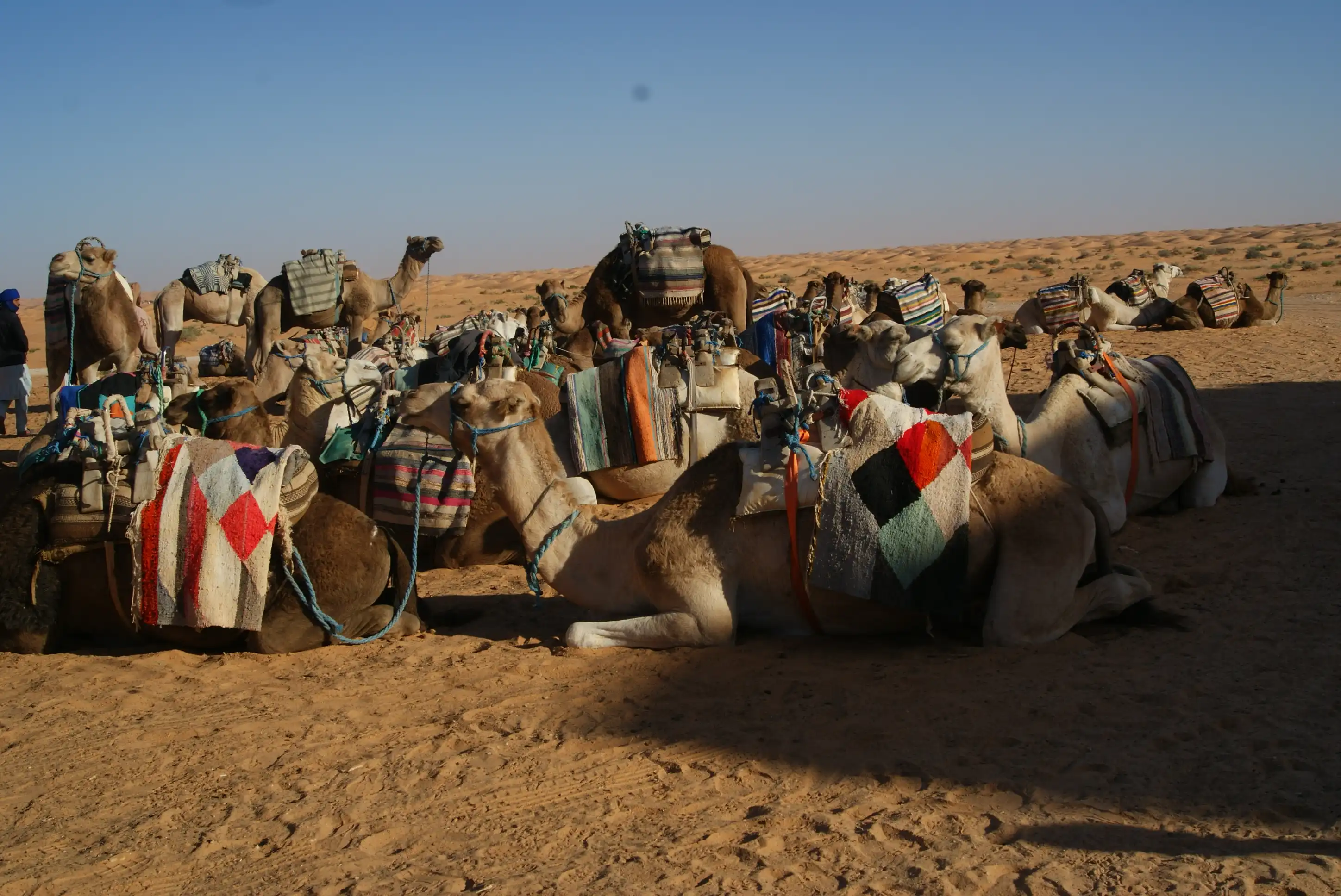 A day Excursion to Ksar Ghilane