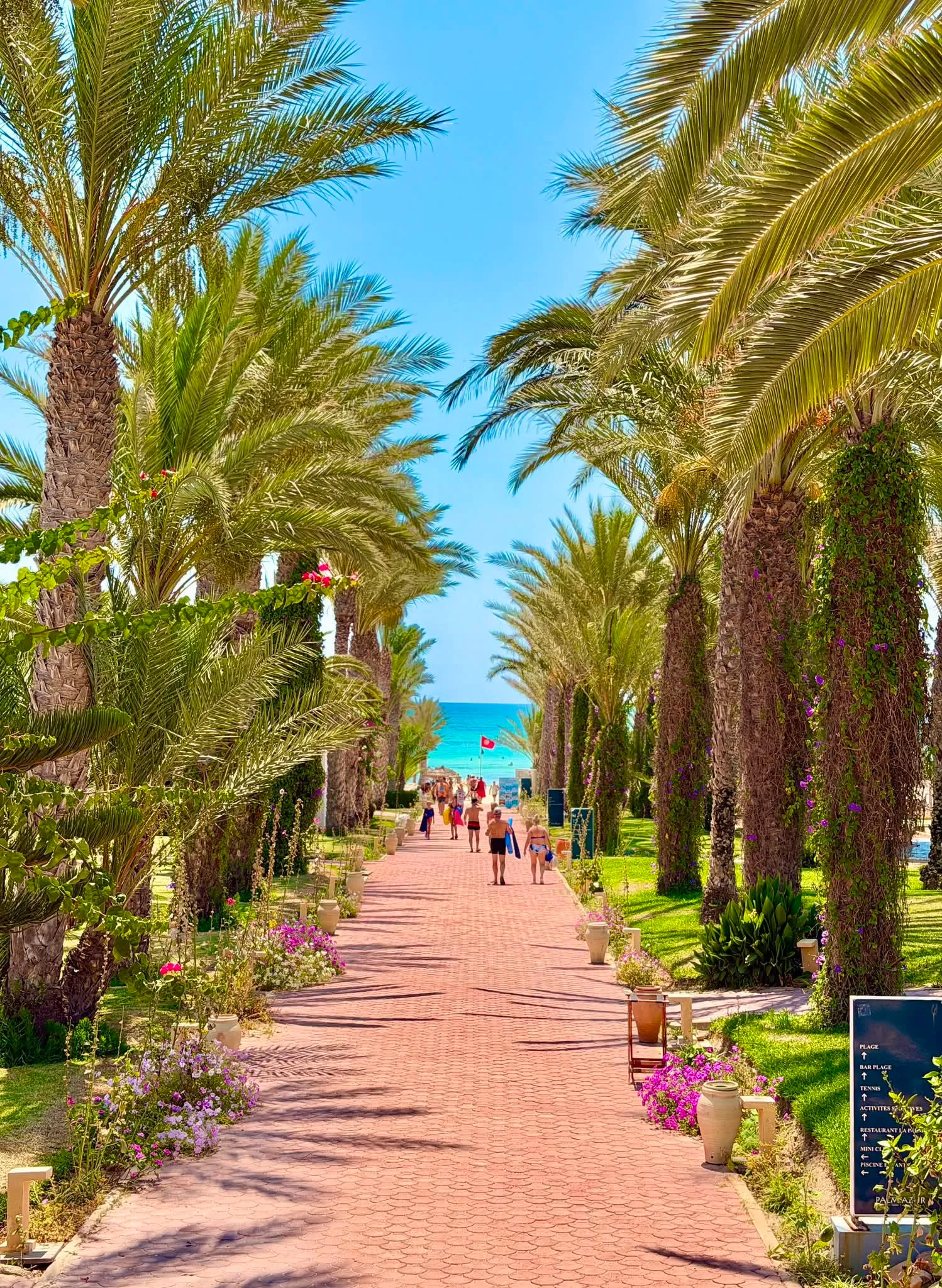 Club Palm Azur — 
